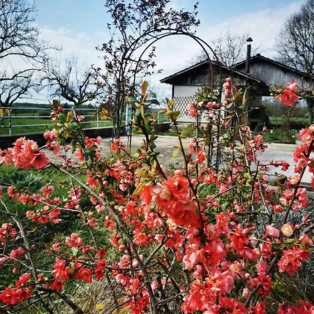 Domaine De L'esperance, Chambre Rose B&B *